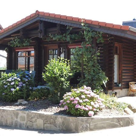 Ferienwohnung Blockhaus Juka Vinningen Buitenkant foto
