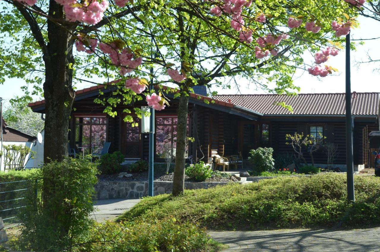 Ferienwohnung Blockhaus Juka Vinningen Buitenkant foto